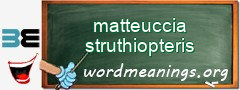 WordMeaning blackboard for matteuccia struthiopteris